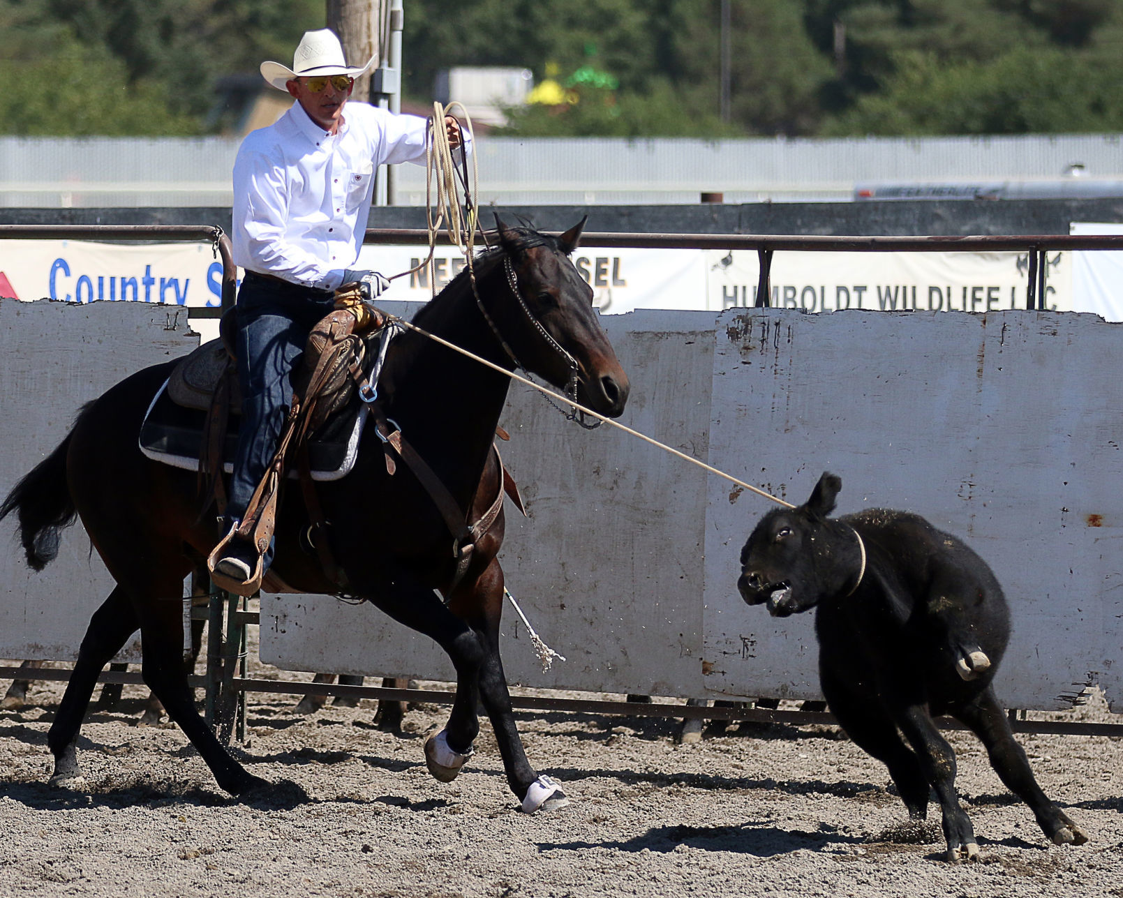 2018 Elko County Fair Open Branding Finals (34).JPG